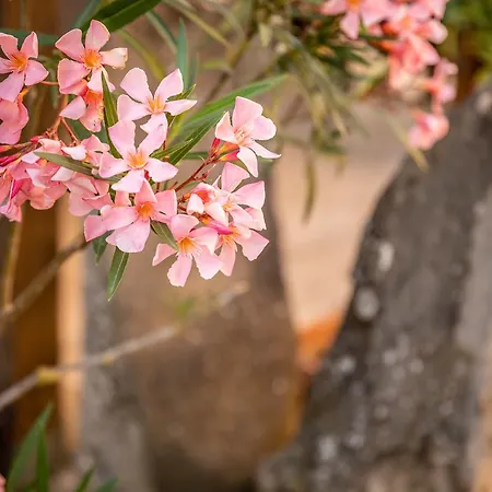 Ristorante Casa Volpi 3*